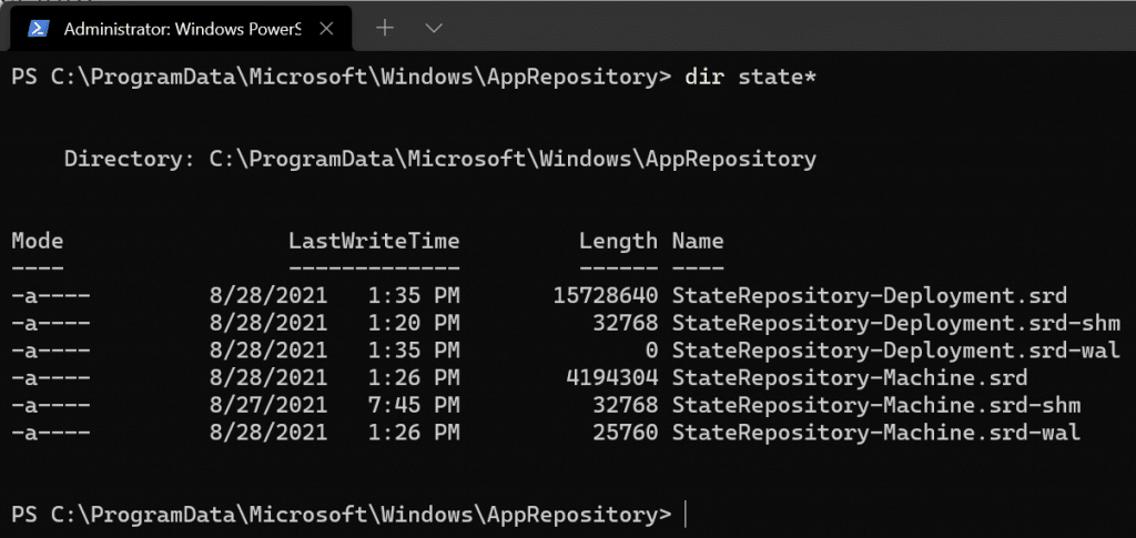 StateRepository files on Windows 11