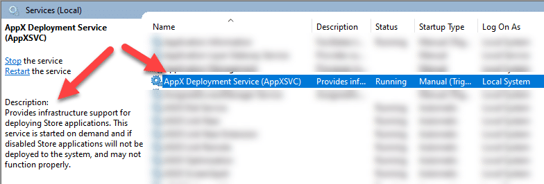 AppX Deployment Service